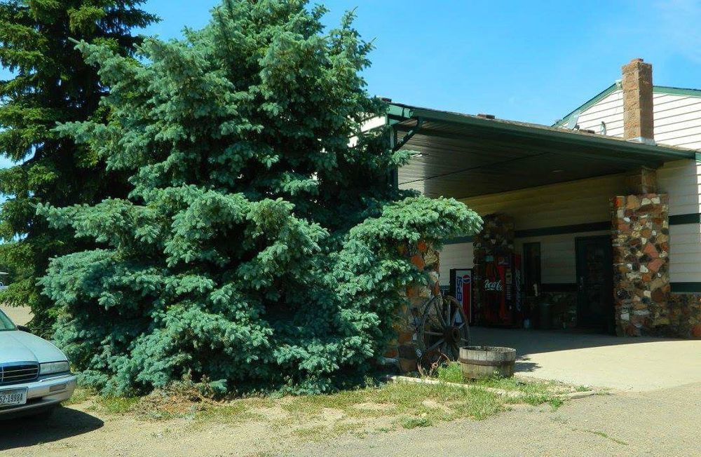 Rodeway Inn Gateway To Medora T-Roosevelt & Makoshika State Park Wibaux Luaran gambar